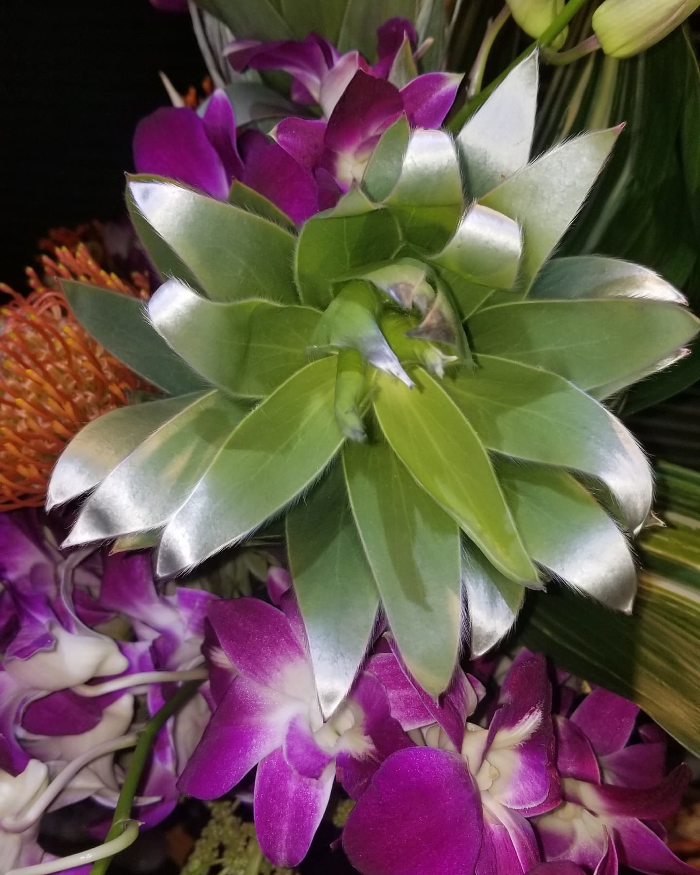 Vibrant arrangement featuring green tropical leaves and purple orchids, highlighting the lush beauty often used in floral designs.